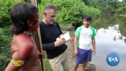 Desaparecimento de Dom Phillips: Como a Amazônia virou uma região tão perigosa?
