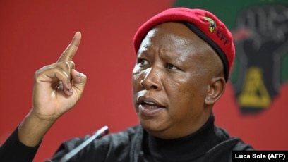 Julius Malema Urges Zimbabweans to Fight Against Mnangagwa's Authoritarian  Rule Following Jailing of Opposition Party Leader
