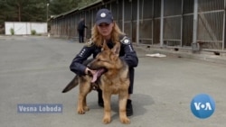 Kyiv Police Dog Warns Locals of Incoming Russian Missiles