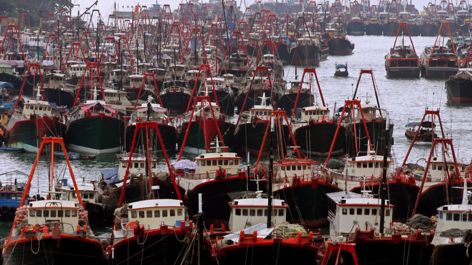 Hundreds of fishing vessels fill up Hong Kong's Aberdeen typhoon shelter on the first day of a two-month fishing ban in seas 12 degrees latitude north of the Beibu Gulf, also known as the Gulf of Tonkin, June 1, 2005.