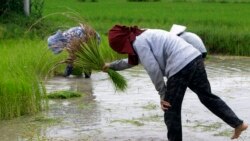 ព័ត៌មាន​ពេល​រាត្រី ១០ តុលា៖ លោក​ ហ៊ុន សែន ​ថា​​​ជំនន់​ទឹកភ្លៀង​នៅ​គ្រប់គ្រង​បាន តែ​អាជ្ញាធរ​ត្រូវ​ឆ្លើយ​តប​ទៅ​លើដំណាំ​ខូច​ខាត