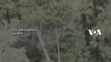 Helikopter Jatuh di Timika, Satu Balita Terlempar - Hilang