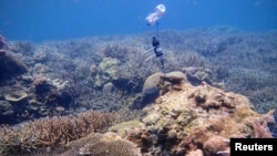 A hydrophone that is used to record underwater soundscape is placed on a reef in the sea of the Spermonde archipelago.