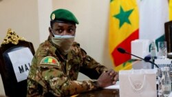 Mali sariyasunba nyebila baara jamakulu sigili laseli