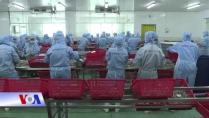 Xuất khẩu Việt Nam sang EU tăng kỷ lục nhờ EVFTA 