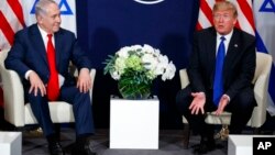 Дональд Трамп с премьер-министром Израиля Биньямином Нетаньяху