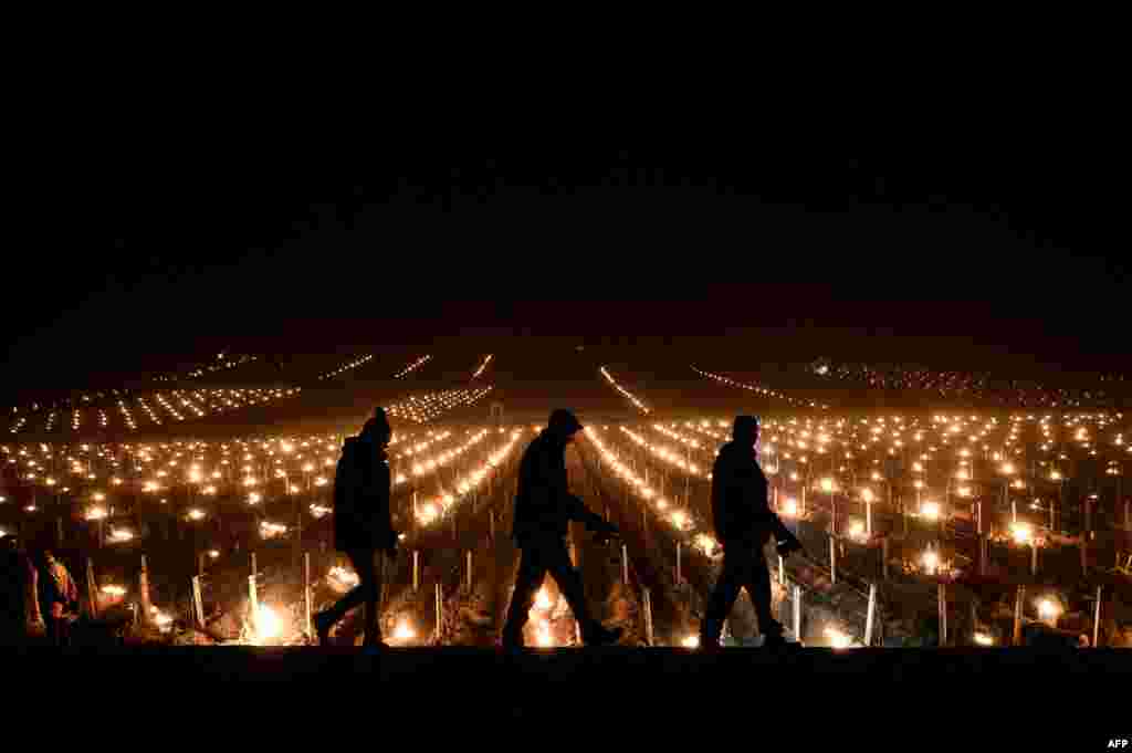 Winegrowers walk after lighting candles in the vineyards to protect them from frost around Puligny-Montrachet, France.