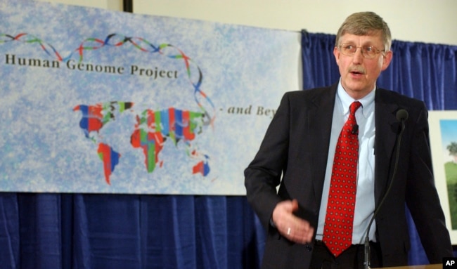 In this April 14, 2003 file photo, Dr. Francis Collins, director of the National Human Genome Research Institute, announces the successful completion of the human genome project in Bethesda, Md. (AP Photo/Evan Vucci, File)