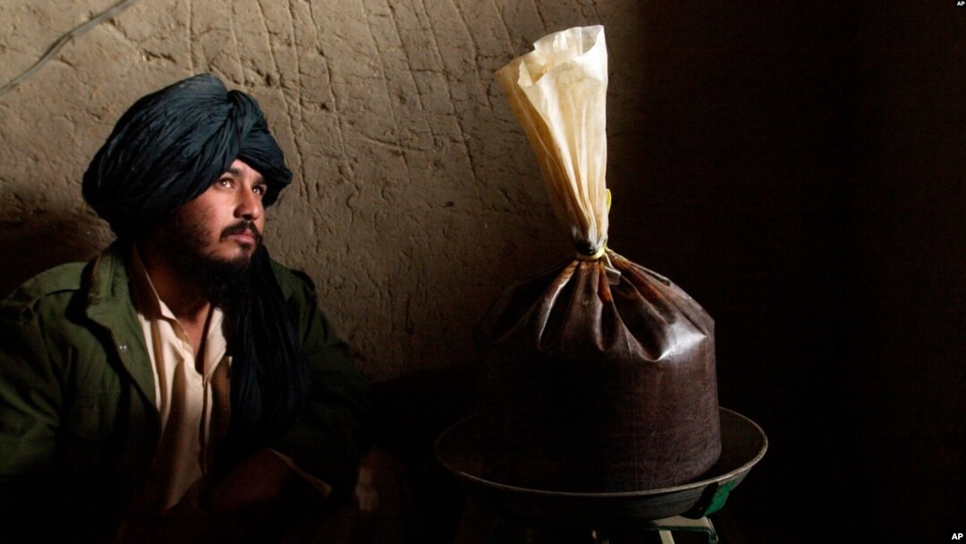 په طالبانو باندې دا تور دی چې په تېرو کلونو کې یې د مخدره موادو د زارعینو او کاروباریانو یې پیسې اخیستې