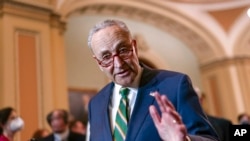 FILE - Senate Majority Leader Chuck Schumer, D-N.Y., meets with reporters at the Capitol, April 5, 2022.