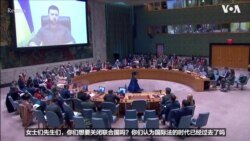 泽连斯基呼吁联合国进行改革 