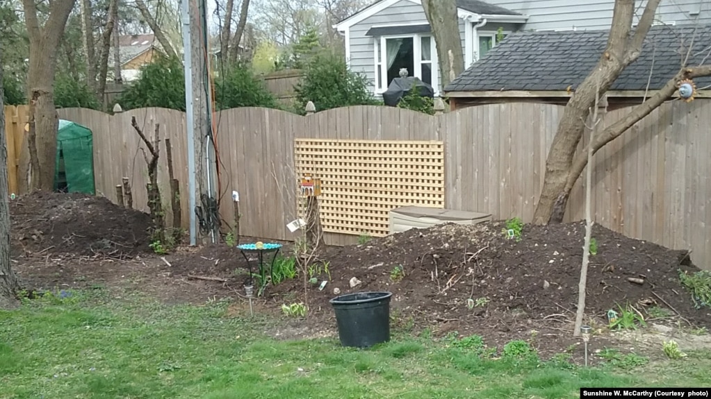 View of two hügelkultur mounds in garden in Glenview, Illinois. April 11, 2017