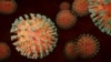 La cepa XE es una "recombinación" de dos sublinajes de la variante ómicron del nuevo coronavirus.