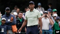 FILE - Tiger Woods drops golf balls on the driving range during a practice round for the Masters golf tournament on Apr. 5, 2022, in Augusta, Georgia.