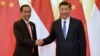 Perkuat Hubungan Ekonomi, Jokowi Bertemu Xi Jinping