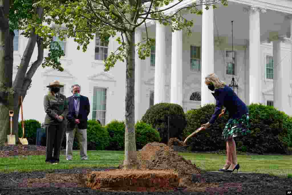 شرکت جیل بایدن بانوی اول آمریکا، در کاشت یک درخت در روز درختکاری، در کاخ سفید
