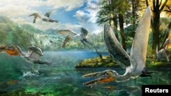The ecological reconstruction of Ikrandraco avatar is shown in this handout illustration. (Courtesy: Chuang Zhao) 
