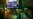 16x9 Image