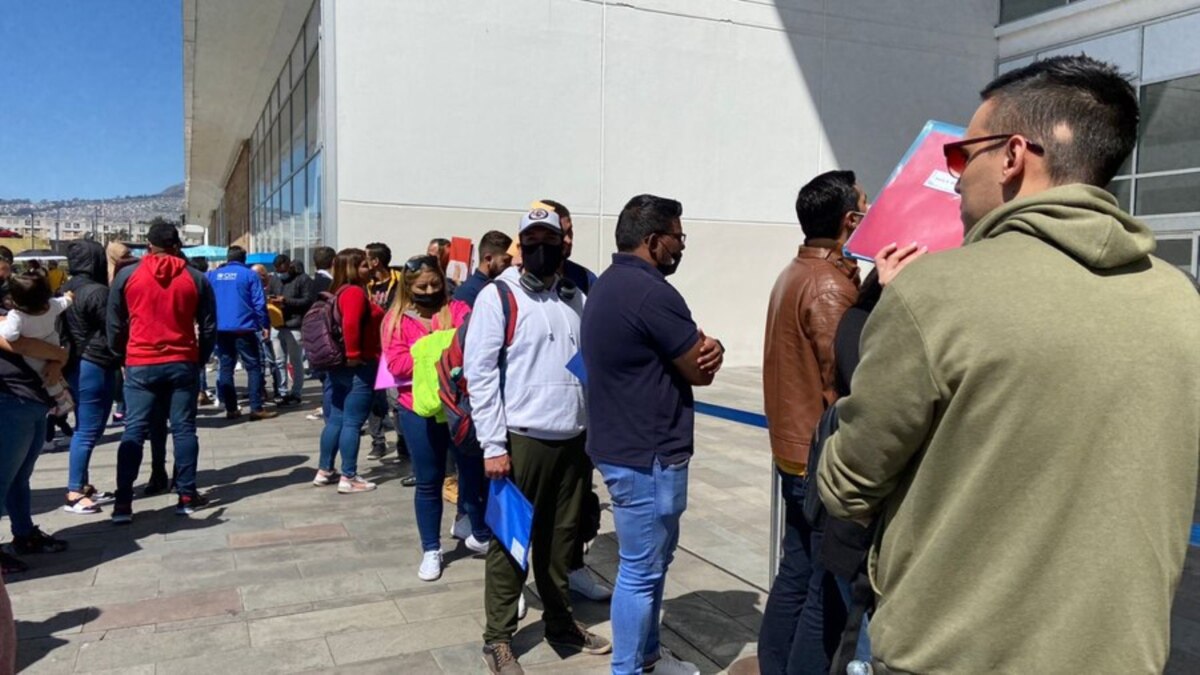 "Queremos estar estables": venezolanos avanzan en proceso de regularización en Ecuador - Vimarsana News
