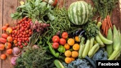 Hasil panen tanaman organik pertanian Maroko. (Facebook/ermebleuedarbouazza)