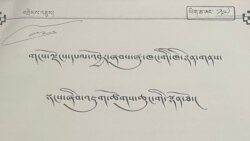 གངས་ལྗོངས་དཔལ་འབྱོར་ཞབས་ཞུ་ཁང་གི་ཁེ་ཉེན་གནས་སྟངས་ཞིབ་འཇུག་སྙན་ཐོ་གྲོས་ཚོགས་སུ་སྙན་སྒྲོན་ཞུས་པ།