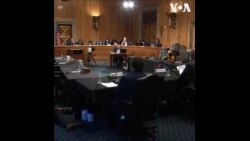 专家在国会听证上针对社交媒体隐私问题发出警告 