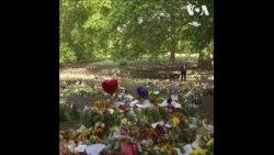 英国民众在伦敦公园摆放鲜花 悼念女王