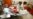 WHO 'Strongly Advises Against' Use of 2 Antibody COVID Treatments