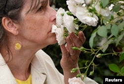 A visitor smells a rose as she attends the Chelsea Flower Show in London, Britain, May 26, 2022. (REUTERS/Toby Melville)