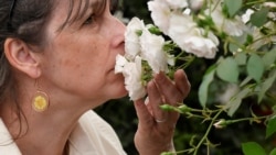 Quiz - AI Tool Seeks to Identify and Recreate Smells