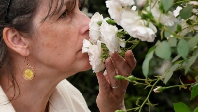 Quiz - AI Tool Seeks to Identify and Recreate Smells