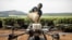 Un employé de Sasini met de l'engrais à l'intérieur d'un véhicule aérien sans pilote (UAV) au Kipkebe Tea Estate (Kenya).