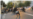 ادامه اعتراضات در ایران؛  موج تازهای از اتحاد در میان معترضان شکل گرفت