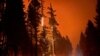 The Cedar Creek wildfire rages out of control in Oregon, Sept. 13, 2022, as residents face evacuation orders and worsening air quality as multiple blazes scorch the U.S. West. 