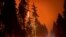 The Cedar Creek wildfire rages out of control in Oregon, Sept. 13, 2022, as residents face evacuation orders and worsening air quality as multiple blazes scorch the U.S. West. 