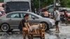 A woman moves her dog while residents evacuate from their submerged homes in the aftermath of Super Typhoon Noru in San Ildefonso, Bulacan province, Philippines. 