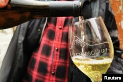 Seorang sukarelawan menuangkan segelas anggur Charbonnay, yang terbuat dari anggur yang dipanen dari kebun anggur di Haillicourt, Prancis utara, 24 September 2022. (REUTERS/Ardee Napolitano)