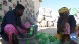  🇲🇱Mali Tombouctou musow y’u yɛrɛ labɛn ka kɛ tɔn ye min tɔgɔ ye ko GOUNATIERE