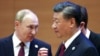 Vladimir Putin còn thú nhận rằng, về “cuộc khủng hoảng ở Ukraine,” “Chúng tôi hiểu những thắc mắc và mối quan tâm của các người bạn Trung Quốc, và trong cuộc gặp gỡ hôm nay sẽ giải thích thêm chi tiết cho sáng tỏ.” 