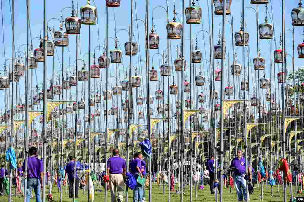 Birds sit in cages during a bird singing competition in Thailand&#39;s southern province of Narathiwat. About 1,500 birds from Thailand, Malaysia and Singapore were entered in the yearly competition.&nbsp;