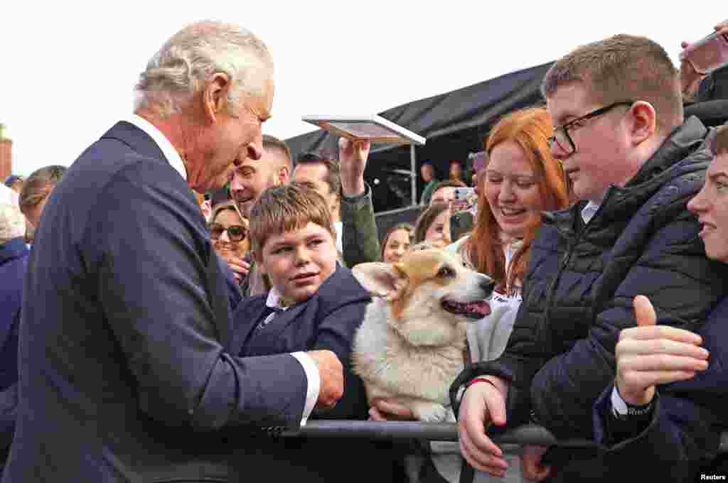 El rey Carlos III se encuentra con una mujer que sostiene un perro de la raza corgi, a su llegada al castillo de Hillsborough, condado de Down, Irlanda del Norte, el martes 13 de septiembre de 2022.