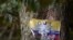 FILE - Picture of a placard of the Revolutionary Armed Forces of Colombia (FARC) dissident guerrilla in Catatumbo, Norte de Santander Department, Colombia, taken on Aug. 20, 2022. 
