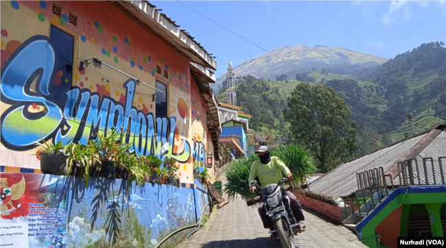 Butuh memperoleh sebutan Nepal van Java karena lansekap dan konstruksi rumah warganya di lereng Sumbing. (Foto: Nurhadi)