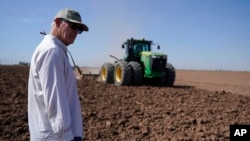 Farmer Larry Cox watches a tractor at work on a field at his farm Aug. 15, 2022, near Brawley, Calif. 