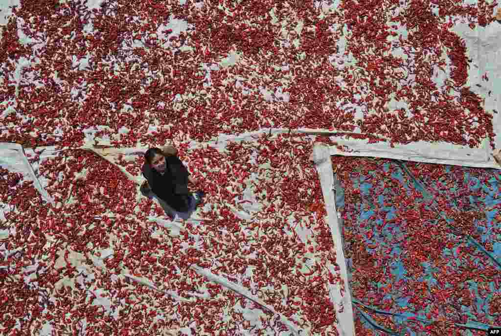A Syrian girl dries chili peppers in the town of Muhambal in the rebel-held southern countryside of Syria&#39;s northwestern Idlib province, Sept. 19, 2022.