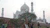 Seekor monyet duduk di bangku di luar bangunan bersejarah Taj Mahal di Agra, India, 23 Februari 2020. (Foto: Reuters/Rupak de Chowdhuri)