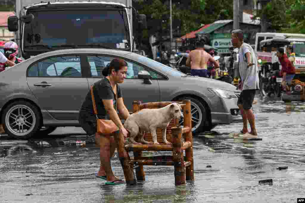 A woman moves her dog while residents evacuate from their submerged homes in the aftermath of Super Typhoon Noru in San Ildefonso, Bulacan province on Sept. 26, 2022. 