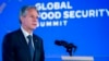 Blinken at Global Food Security Summit