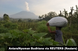Seorang petani membawa sekantong pupuk saat Gunung Agung mengeluarkan asap di Desa Sidemen, Karangasem, Bali, 6 Desember 2017. (Foto: Antara/Nyoman Budhiana via REUTERS)