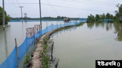 উপকুলীয় এলাকায় চিংড়ি চাষ
